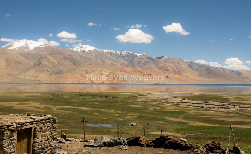 Changthang in Ladakh where pashmina is produced